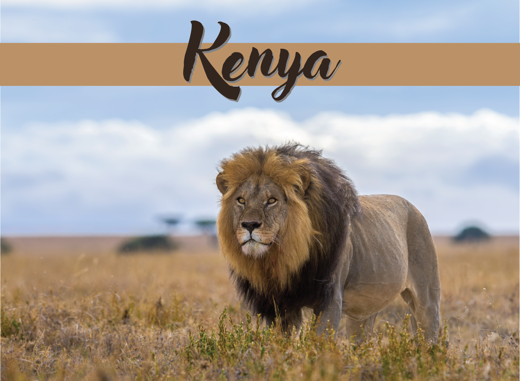 Kenya Insight